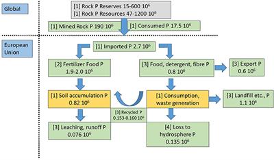 Systematic Review of Dairy Processing Sludge and Secondary STRUBIAS Products Used in Agriculture